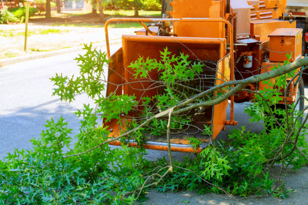 Lawn Grading and Leveling